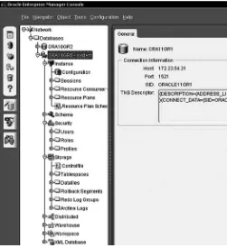 Figure 3.2Oracle Enterprise Manager Java Console (OEMJC) connected to an Oracle 11gserver, showing important constituent elements of Instance, Schema, Security, and Storage,and so on.