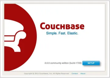 Figure 2-1. Setting up the Couchbase Server