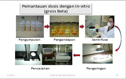 Gambar 5. Proses analisis radionuklida pemancar beta di dalam sampel urine   