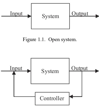 Figure 1.1. Open system.