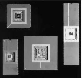Figure 1.2: Examples of IC packages with the tops removed and the silicon dies exposed