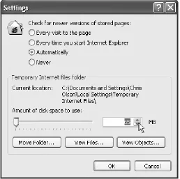 Figure 11-6. To change the size of your cachefolder, click the Settings button in the General tab