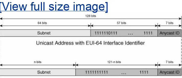 Figure 2-8. IPv6 Reserved Anycast AddressFormat