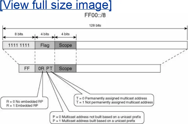 Figure 2-9. IPv6 Multicast Address Format