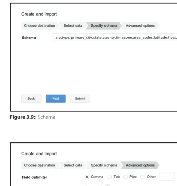 Figure 3.10:  Advanced Options
