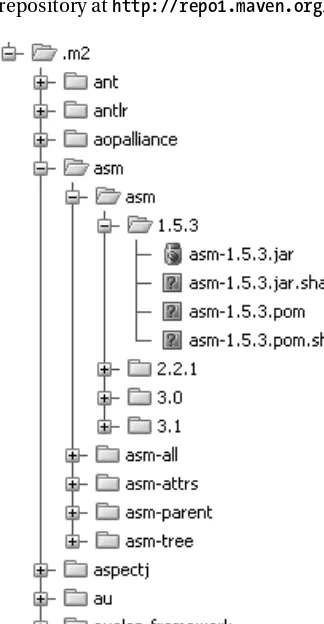 Figure 1-10. Example of a local repository 