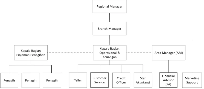 Gambar 2.1 Struktur Organisasi Kantor Cabang  Koperasi Simpan Pinjam Sejahtera Bersama 