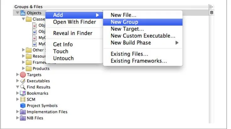 Figure 1-3. Creating a new group or virtual folder in Xcode
