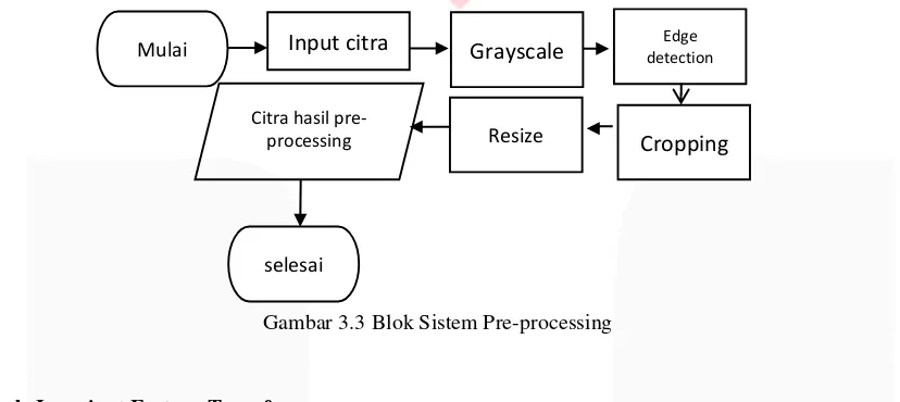 Gambar 3.3 Blok Sistem Pre-processing 