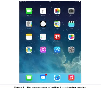 Figure 5—The home screen of an iPad just after first booting