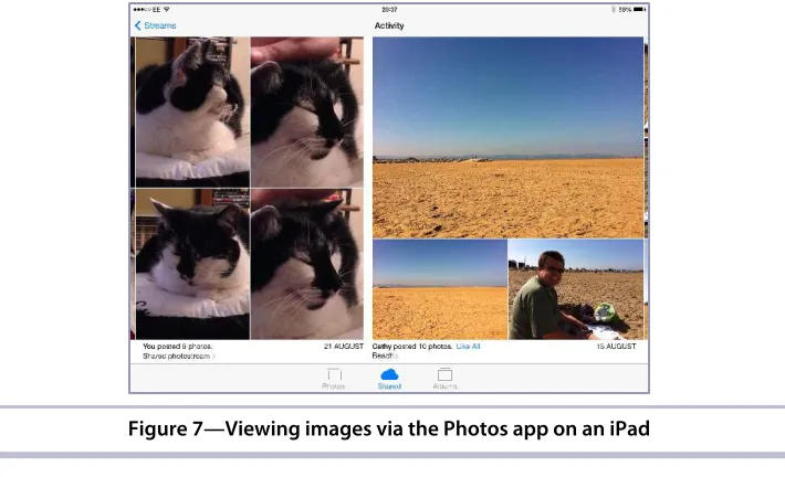 Figure 7—Viewing images via the Photos app on an iPad