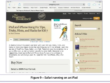 Figure 9—Safari running on an iPad