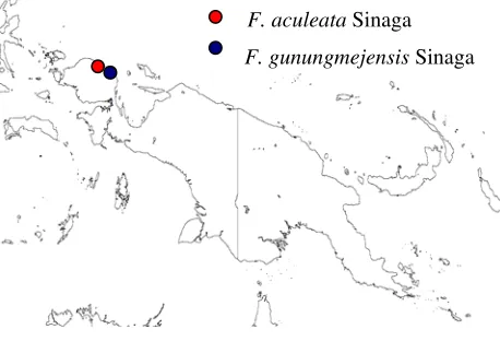 Figure 1. Collections of F. gunungmejaensis Sinaga and F. aculeata Sinaga   used in this study