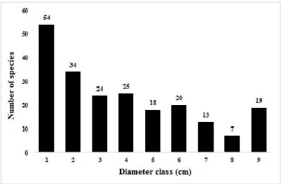 Fig. 7. The relationships between the number of species and  diameter classes in the forest of  Foja      Mountains