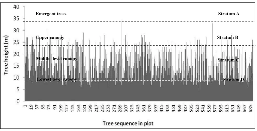 Fig. 8.  The relationships between the number of trees and diameter classes in the lower montane forest at Foja Mountains