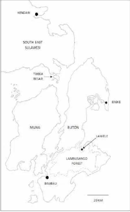 Fig. 1. Map of Buton and SE Sulawesi; Lambusango  Forest is shown by the dashed line. 