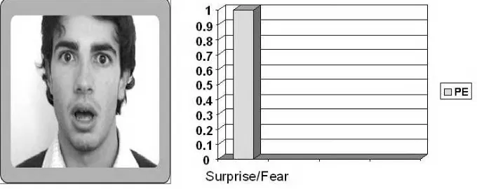 Figure 4.10. Classification using evidence theory: the system is sure that the facialexpression is either fear or surprise but cannot choose between the two