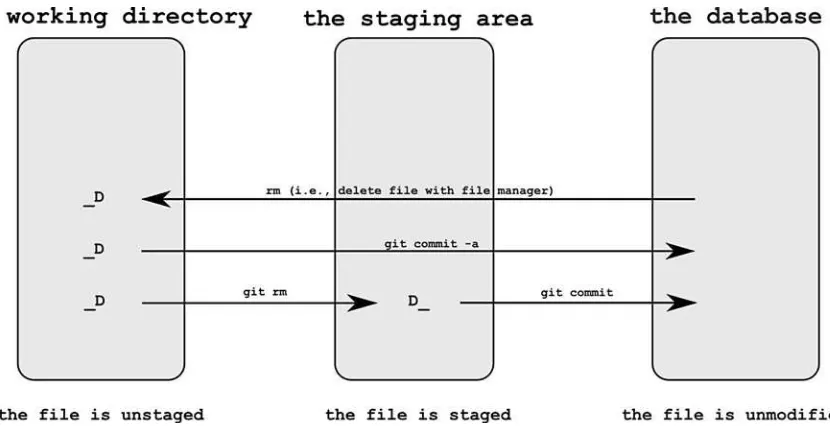 Figure 4-5. The file removed with standard rm command can be committed with one command—git commit -a—or with two commands—git rm and git commit