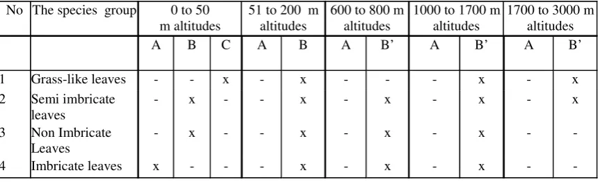 Table 1. Distribution of the members of the infrageneric groups suggested in this current study (A =  secondary forest; B = primary costal forest; B’ = primary forest, C = wet land area)