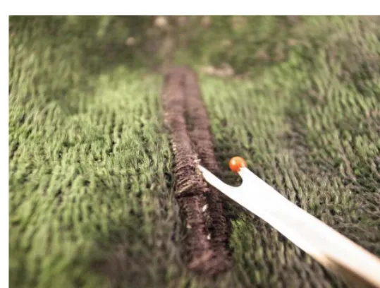 Figure 8-11. The button is stitched like a regular button using conductive thread.  