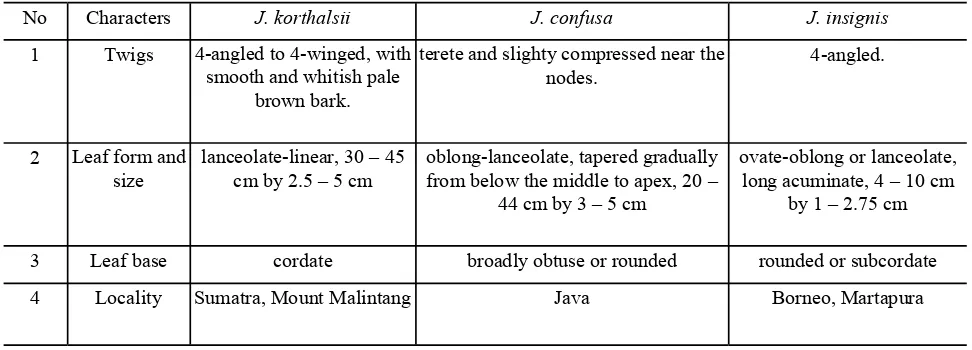Table 1. Morphological differences between J. korthalsii, J. confusa, and J. insignis 