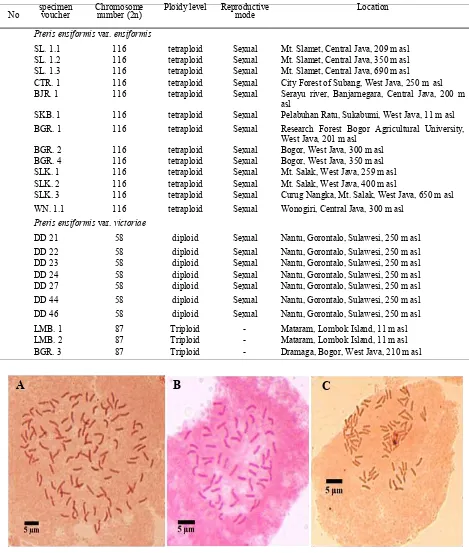 Table 1. Data of chromosomes and inferred reproductive modes of P. ensiformis from eight localities in Indonesia
