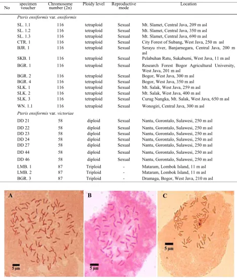 Table 1. Data of chromosomes and inferred reproductive modes of P. ensiformis from eight localities in Indonesia
