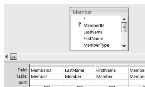 Figure 1-10. Access interface for a simple query on the Member table