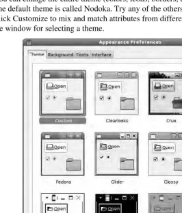 Figure 3-4: Change the default Fedora theme. 
