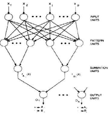 Figure 3.PNN Architecture [14].
