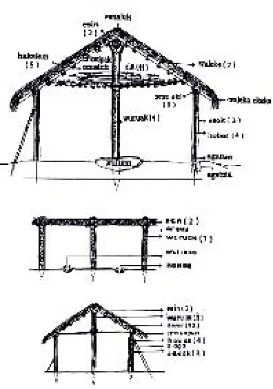 Fig. 22. Coupe transfersale du hunila 