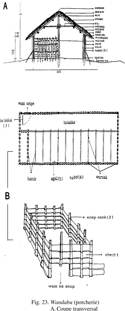 Fig. 23. Wandabu
