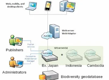 Fig. 2.  Framework of designing biodiversity integration databases and services system 