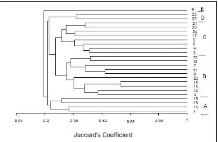 Fig. 5. Dendrogram of 10 tree species (F > 0.5), constructed based on Jaccard’s similarity  using tree density data  in a 1-ha plot of logged-over peat swamp forest at Selat Panjang, Riau
