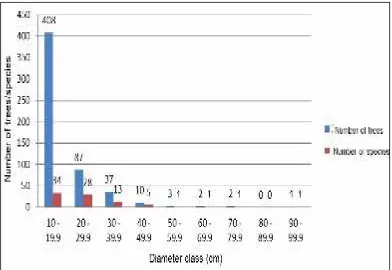 Fig. 6. Diameter class distribution of trees in 1-ha plot.   
