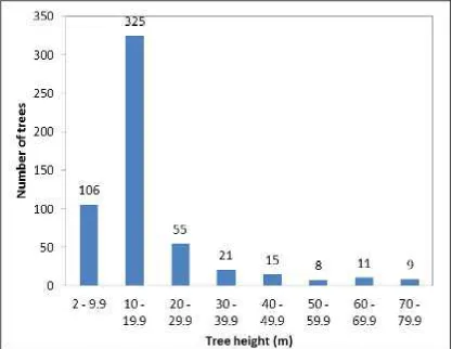 Fig. 8. The  profile of current logged-over peat swamp forest at the research site at Selat Panjang, Riau