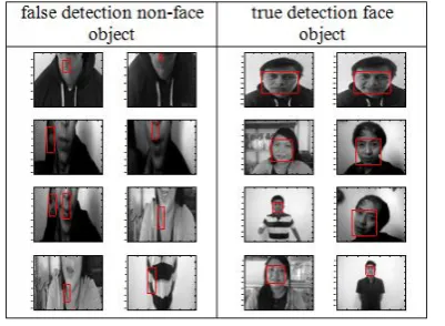Figure 7.  Example of False and True Detection 