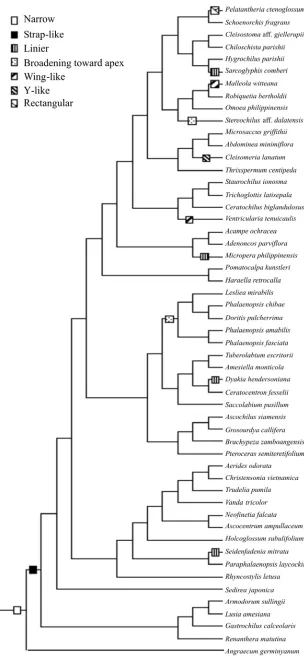 Fig. 3. Stipe reconstruction mapped on one molecular tree (Topik et al., 2005). 