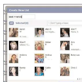 FIGURE 3.10You can use the Create New List box to whip up a special-ized list of Facebook friends.