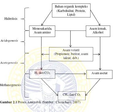 Gambar 2.1 Proses Anaerobik (Sumber : Chenicharo, 2007)  