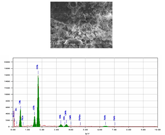 Gambar 4 menunjukkan hasil analisis SEM pada sampel komposit superabsorben poliacrilamida-zeolit
