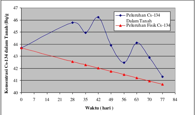 Gambar 1. Penurunan konsentrasi radionuklida 134Cs dalam tanah 