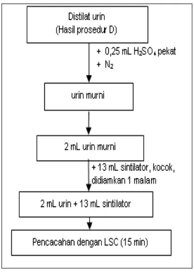 Gambar 2. Skema preparasi sampel urin dengan metode B 