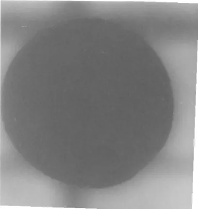 Gambar 7. Morfologi permukaan gel dengan SEM setelah dipanaskan 800oC, pembesaran 1200 X.