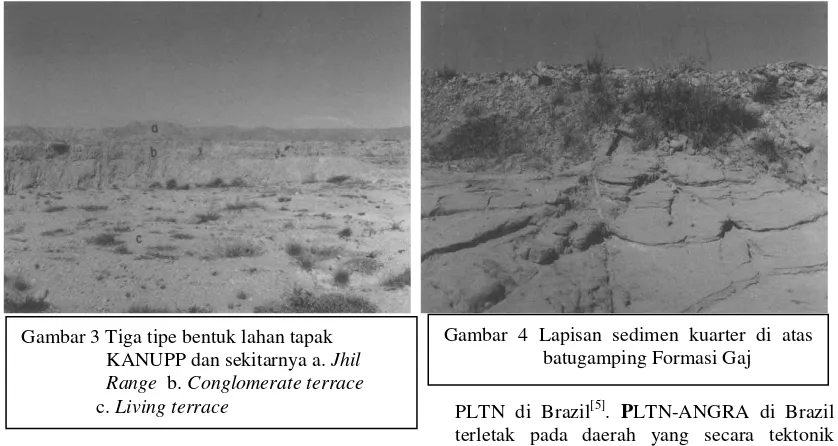 Gambar 4 Lapisan sedimen kuarter di atas 