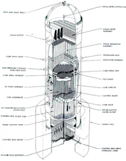 Gambar 1. Teras Reaktor BWR-4 
