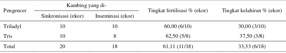 Tabel 2. Tingkat fertilisasi setelah IB secara Cervical menggunakan spermatozoa kambing Boer yang dibekukan dengan pengencer Triladyl dan Tris 