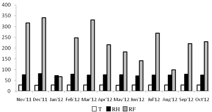 Figure 1. Average monthly rainfall, air temperature, and relative humidity at the location of experiment T = temperature (oC); RH= Relative Humidity (%); RF= Rainfall (mm) 