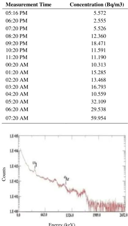 Table 2. Results of real-time measurements of 131I 