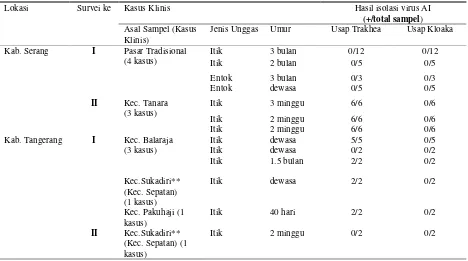Tabel 3. Hasil isolasi virus AI (H5N1) dari kasus klinis di Provinsi Banten 2013. 